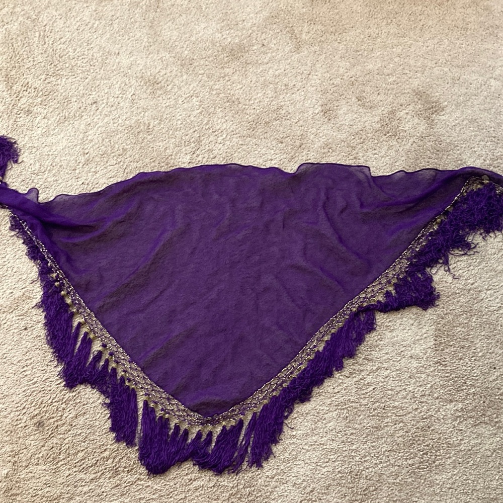 Purple hipscarf with beads & fringe - belly dance, Renaissance Fair